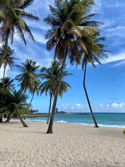 Le Calypso, Beachside Heaven Le Gosier  Eksteriør bilde
